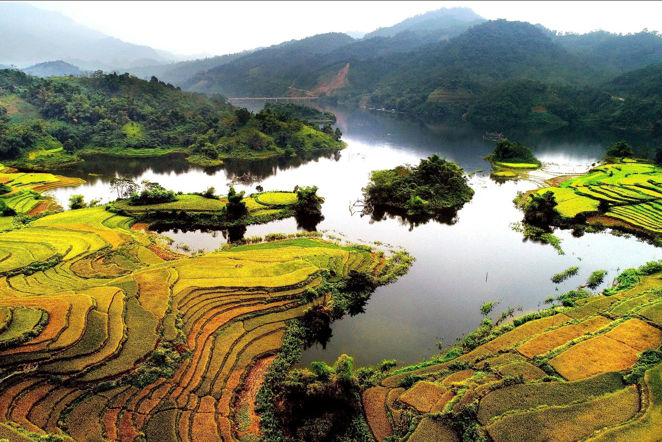 Ruộng bậc thang Hồng Thái