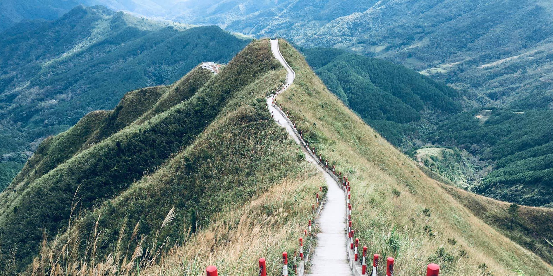 Sống lưng khủng long Tà Xùa