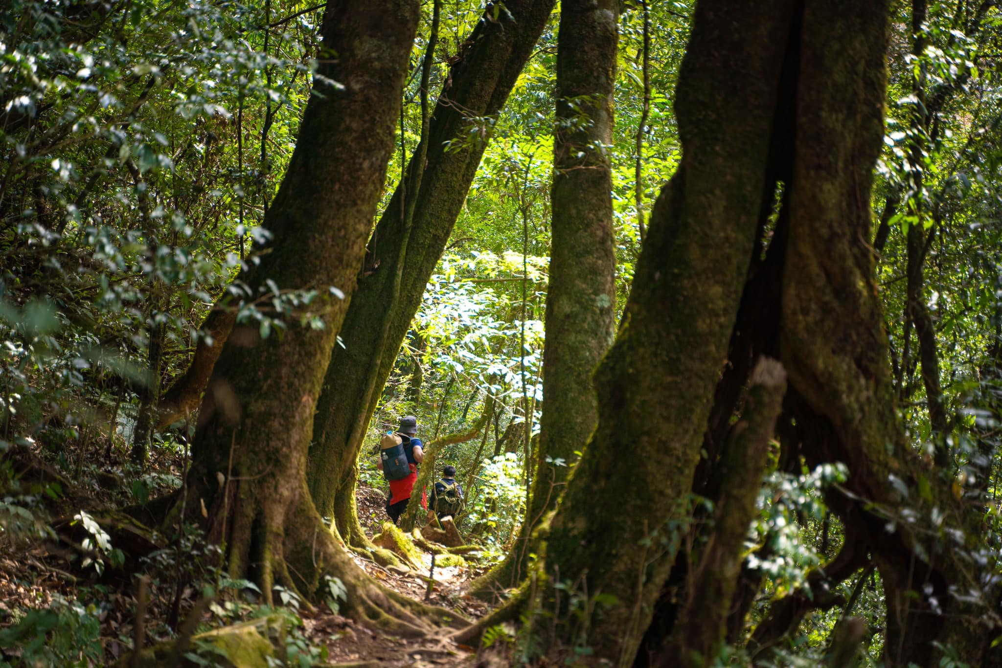 Cung đường trekking Tà Chì Nhù